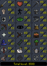 Iron 1 Def Pure - 1500+ total