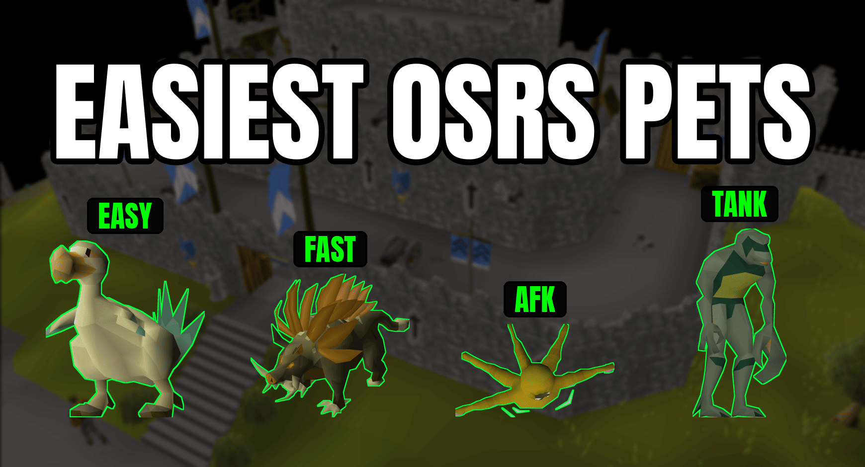 7 Easiest Pets To Get On OSRS