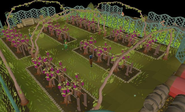 alternative method to level up farming skill by planting grapes