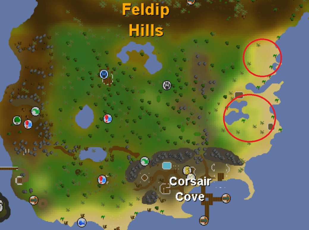 osrs hunter feldip hills