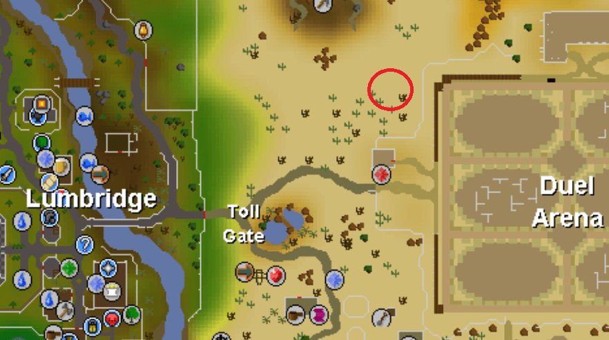 runecrafting in lumbridge