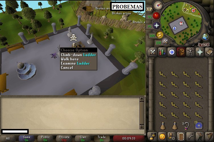 fishing guild osrs