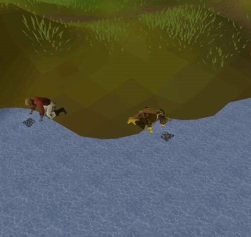 ways to make money fishing