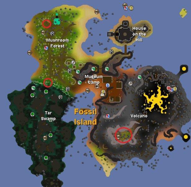 old school runescape fossil island