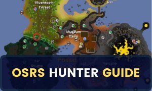 osrs hunter guide