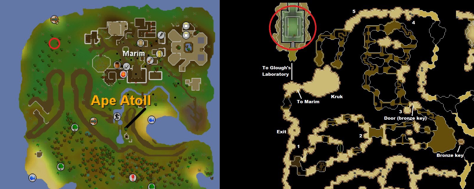 ape atoll osrs hunter