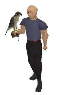 osrs falconry