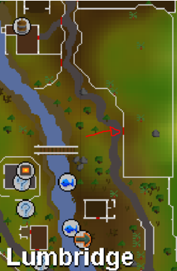 lumbridge in osrs for ranged training