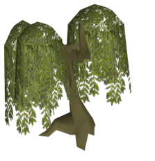 osrs woodcutting guide with willow trees