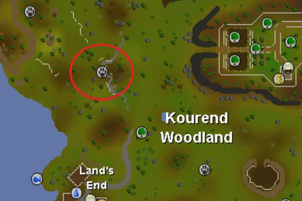 osrs kourend woodland