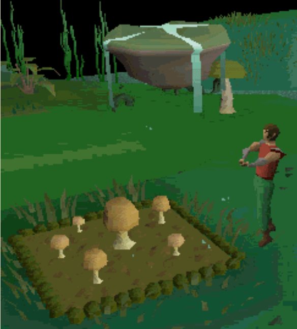 farm patches in osrs