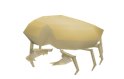 runescape sand crabs
