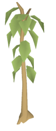 woodcutting training osrs teak trees