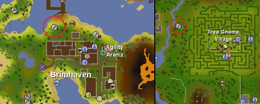 near agility arena old school runescape